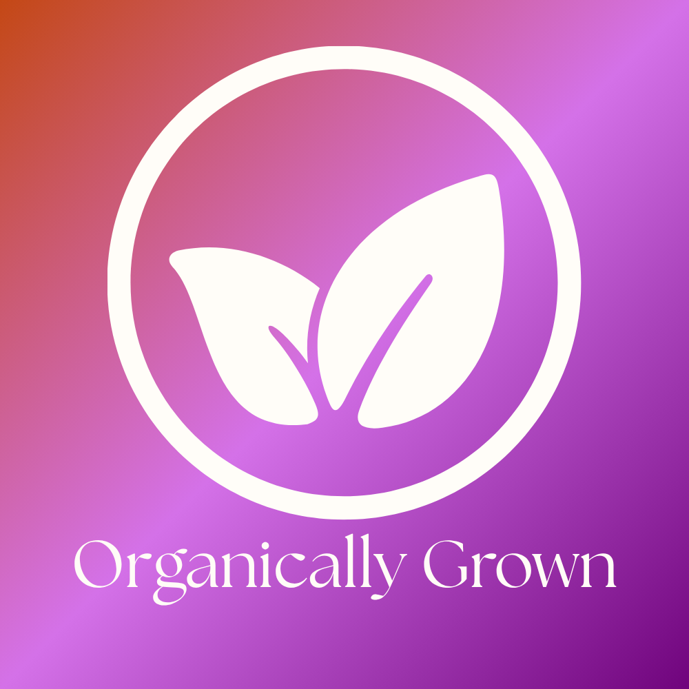 White leaves inside a circular outline on a gradient orange to purple background with text below.