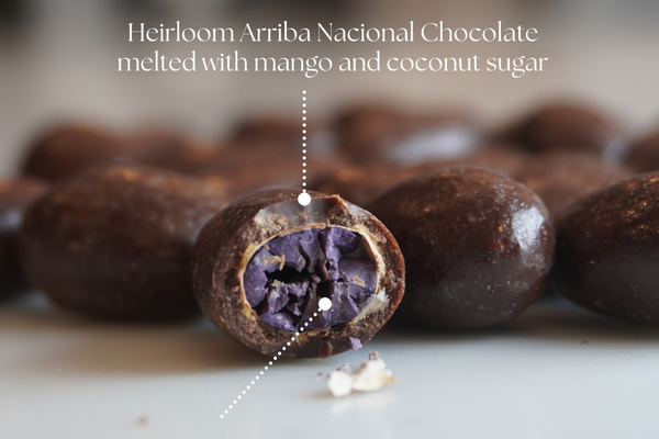 Cocoa Powder vs Cacao Powder