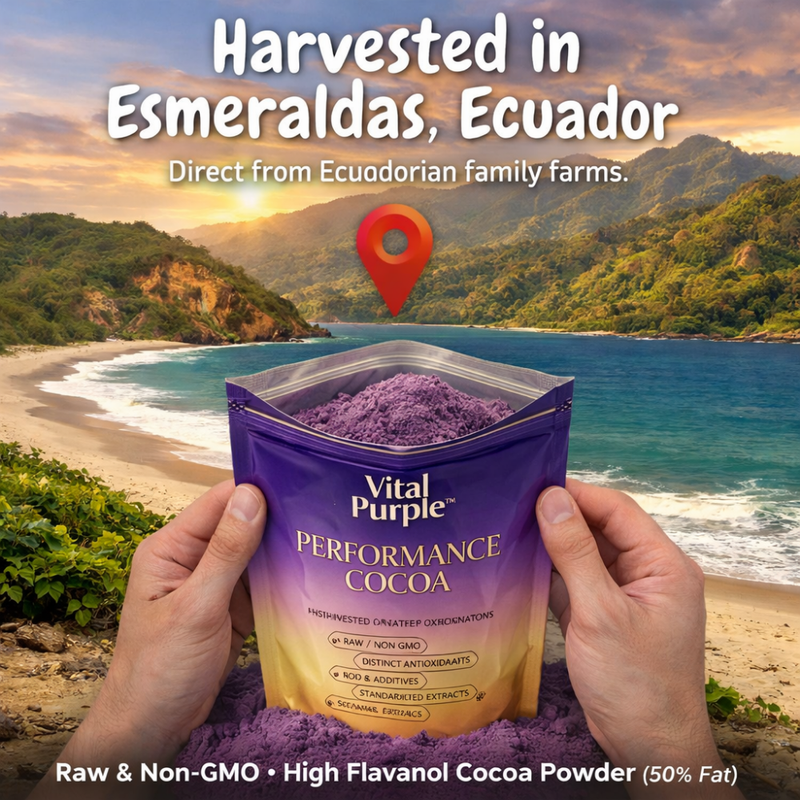 Best Cacao for Stem Cells