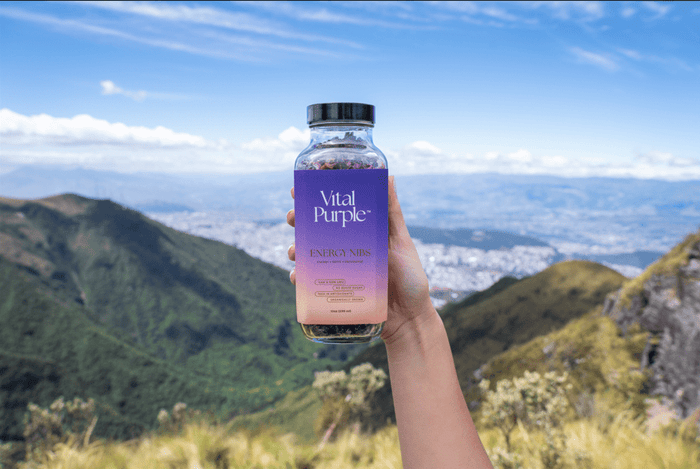 Bake Smarter This Fall With High Flavanol Chocolate - Vital Purple