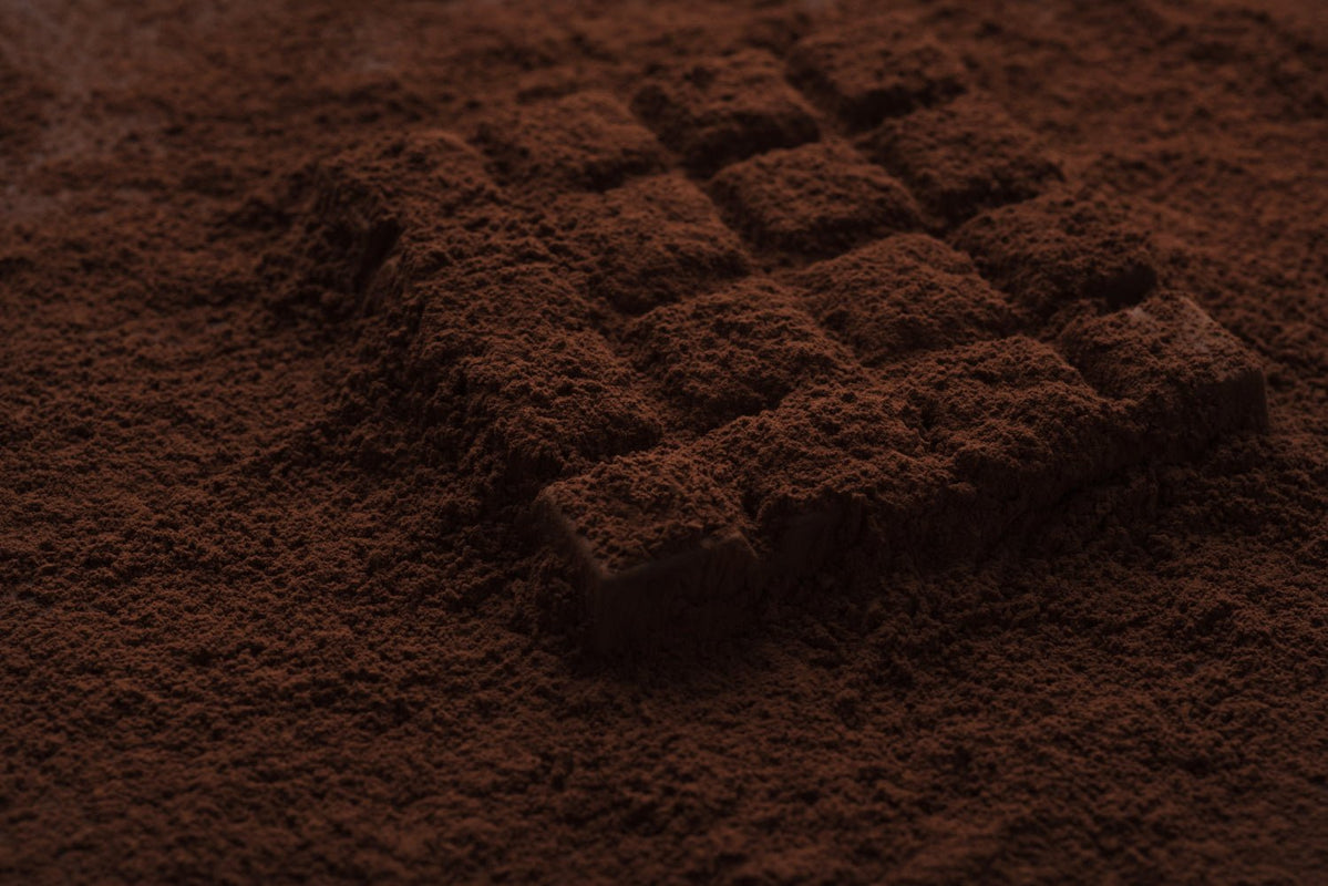 Best Ceremonial Cacao Brands for Cozy Winter Sipping - Vital Purple