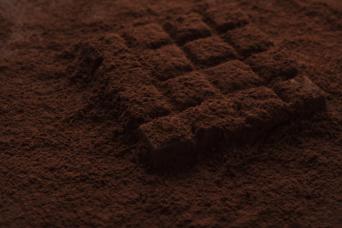 Best Ceremonial Cacao Brands for Cozy Winter Sipping - Vital Purple