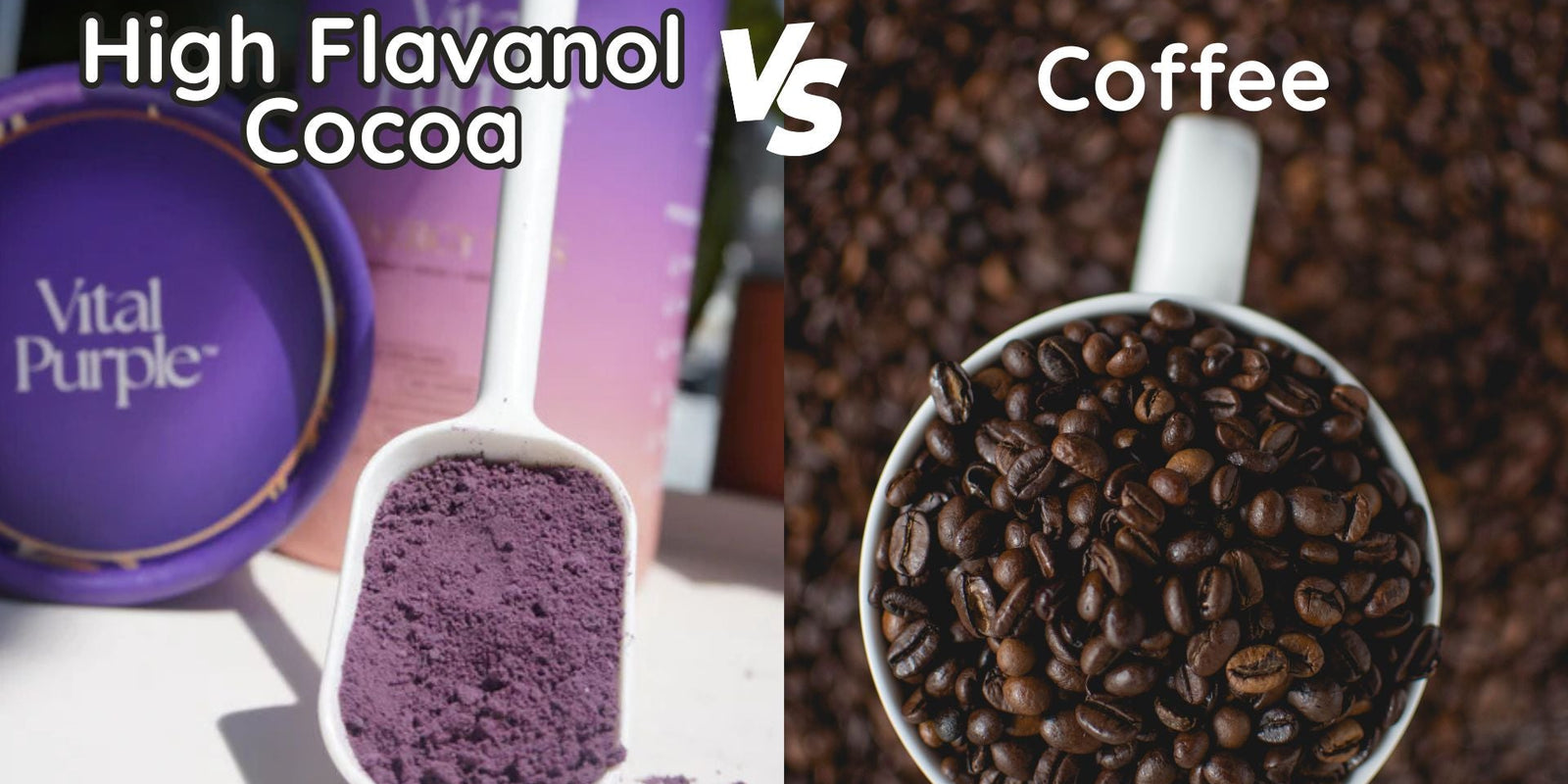 Coffee vs. Cacao - Vital Purple