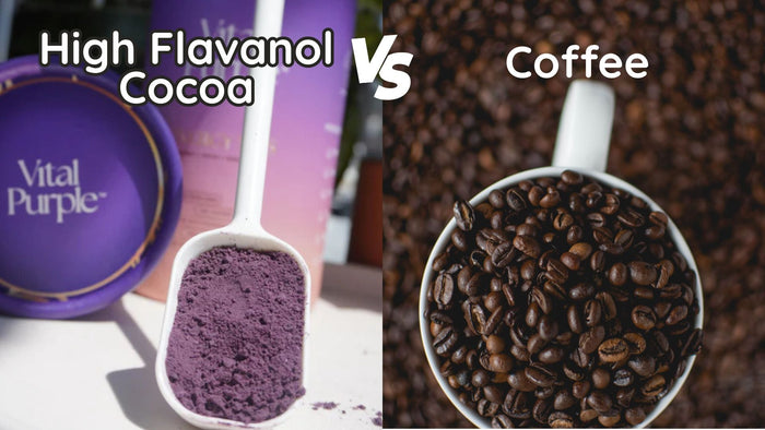 Coffee vs. Cacao - Vital Purple