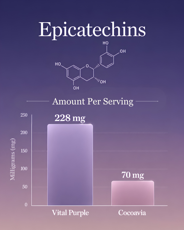 A Picture Featuring the Epicatechin Comparison between Cocoavia and Vital Purple