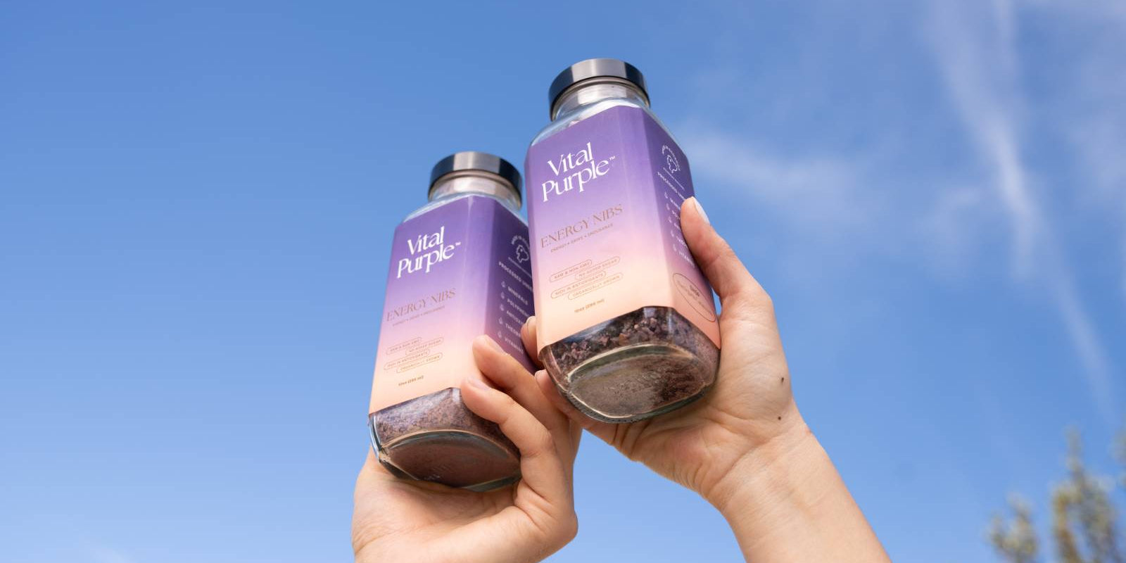 Fall Wellness Starts with Better Cocoa Powder - Vital Purple