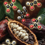 Heavy Metals in Cacao and Chocolate? How  Polyphenols Help - Vital Purple