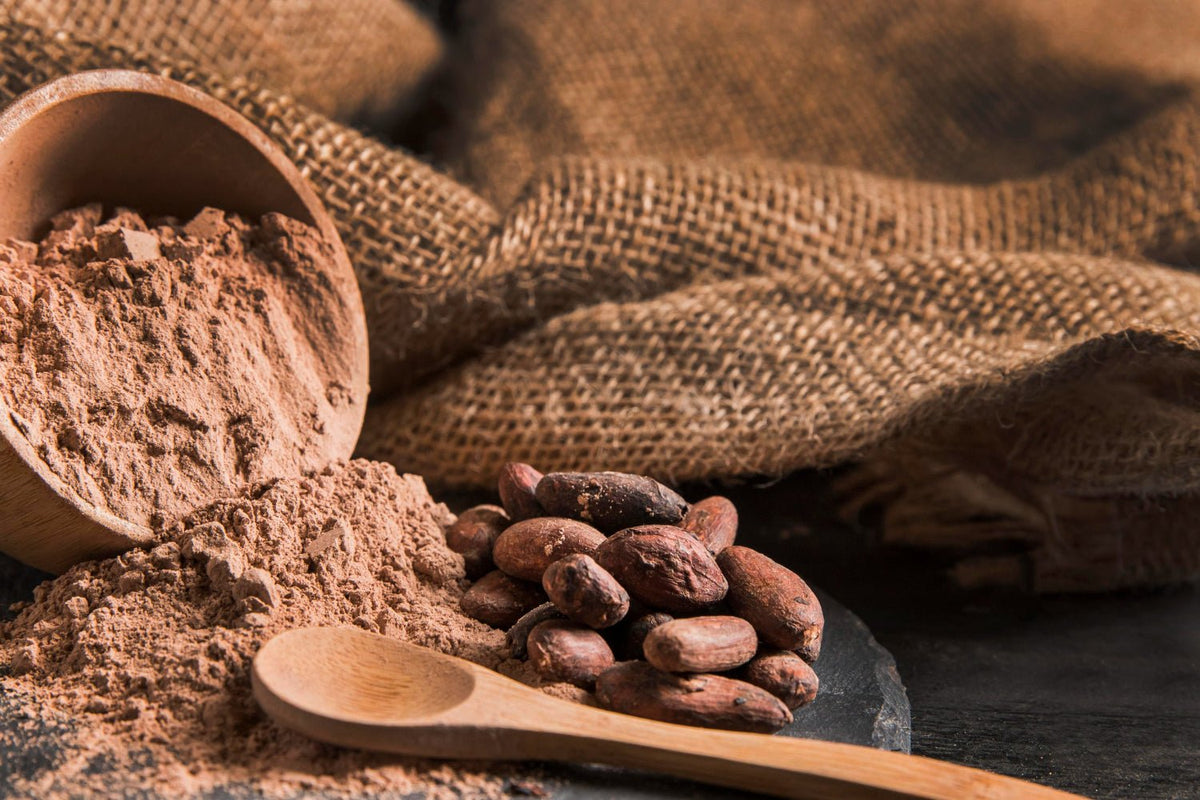 How Cacao Choice Influences Focus and Mental Energy Each Day - Vital Purple