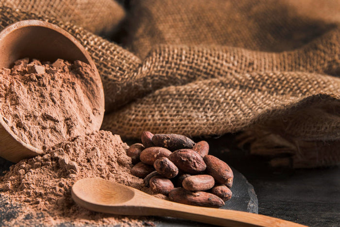 How Cacao Choice Influences Focus and Mental Energy Each Day - Vital Purple