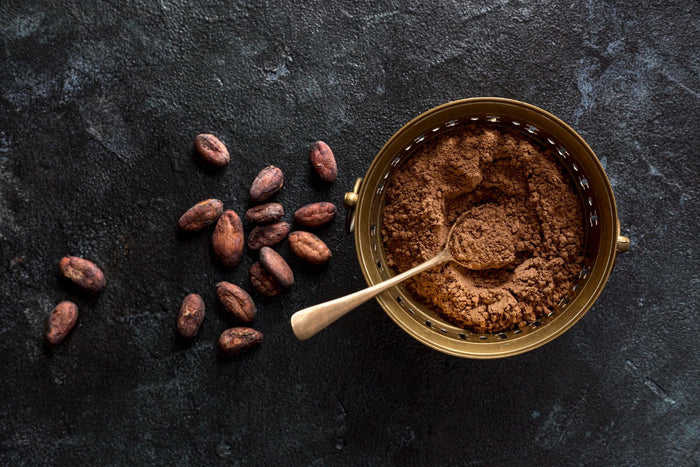 How Cacao Flavanols Support Circulation During Winter Months - Vital Purple