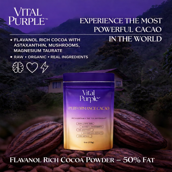 A picture of Cacao Mushroom Powder, touting superiority of flavanols and transparent sourcing from Ecuador