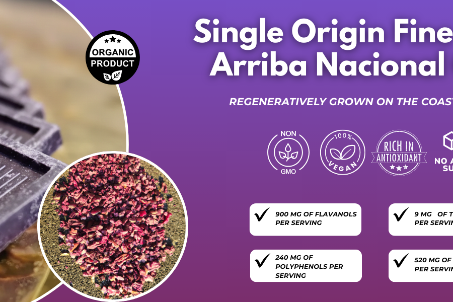 A holistic look at a new purple cocoa product, and the benefits of ceremonial cacao vs regular cacao