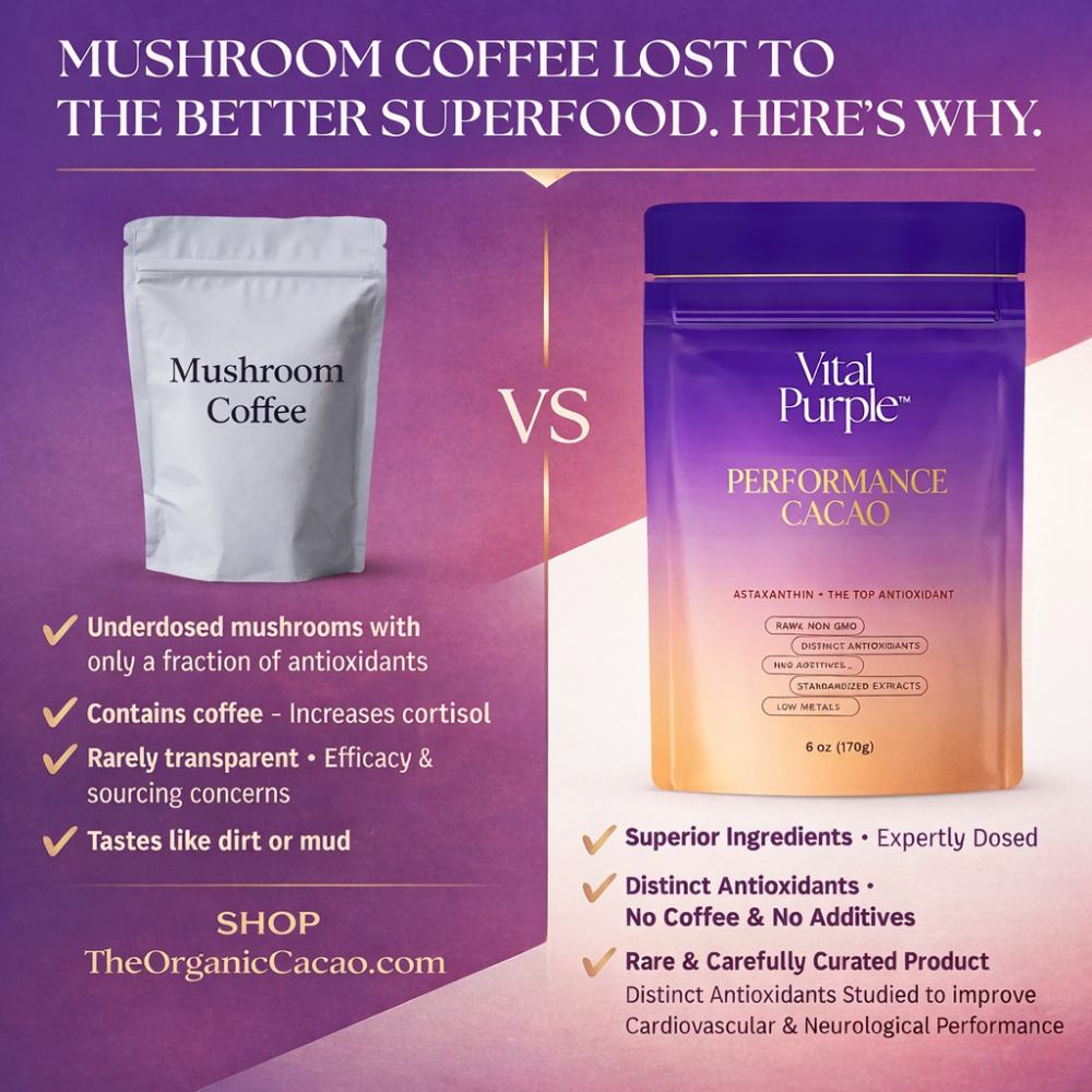 A comparison of regular Mushroom Coffee with Cacao, versus what the mix of Vital Purple's Performance cacao