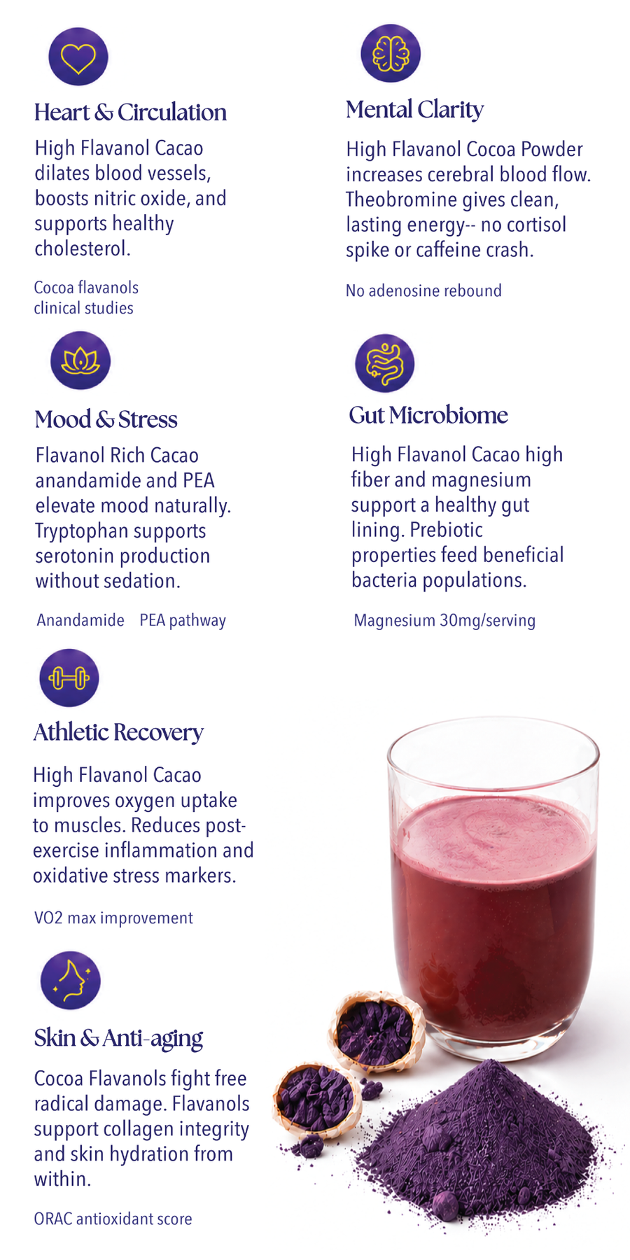 Cacao powder with a glass of cacao drink and text about health benefits on a white background