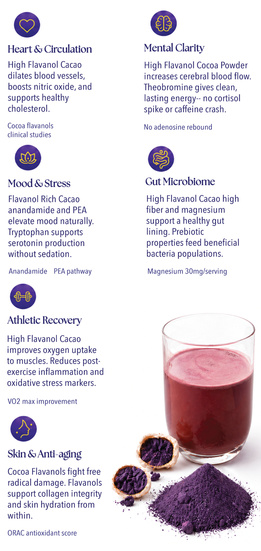 Cacao powder with a glass of cacao drink and text about health benefits on a white background