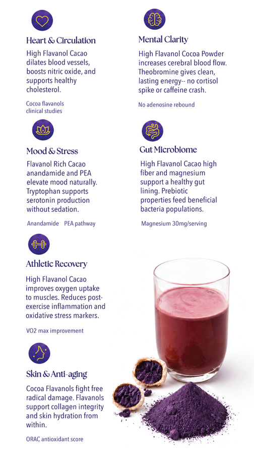 Cacao powder with a glass of cacao drink and text about health benefits on a white background