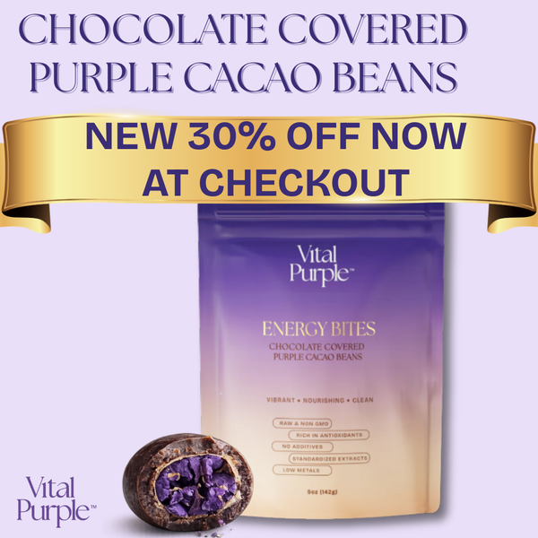 Energy Bites: Flavanol Rich Chocolate Covered Cacao Beans