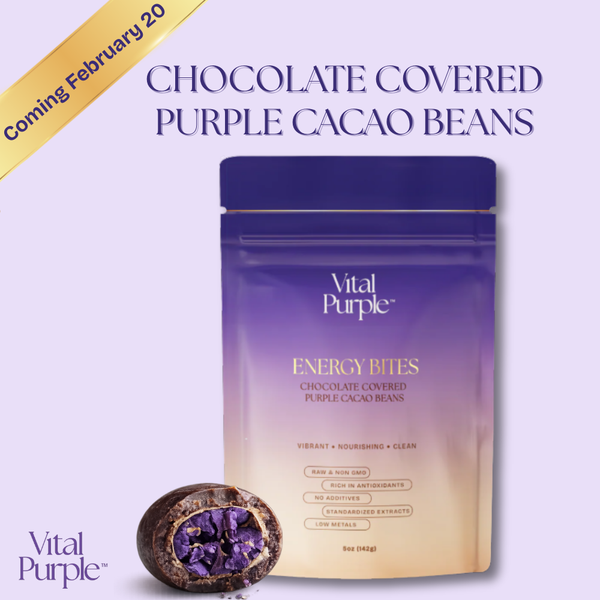 Energy Bites: Flavanol Rich Chocolate Covered Cacao Beans