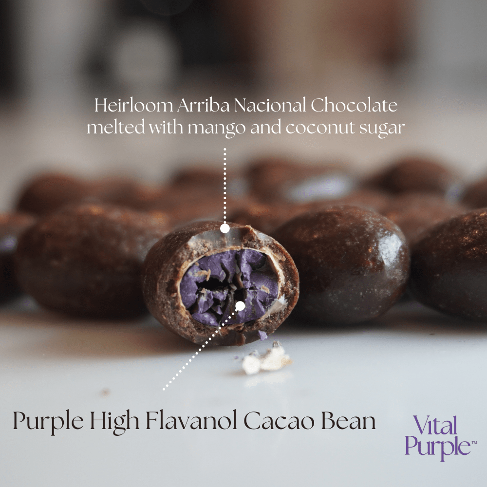 Energy Bites: Flavanol Rich Chocolate Covered Cocoa Seeds - Vital Purple