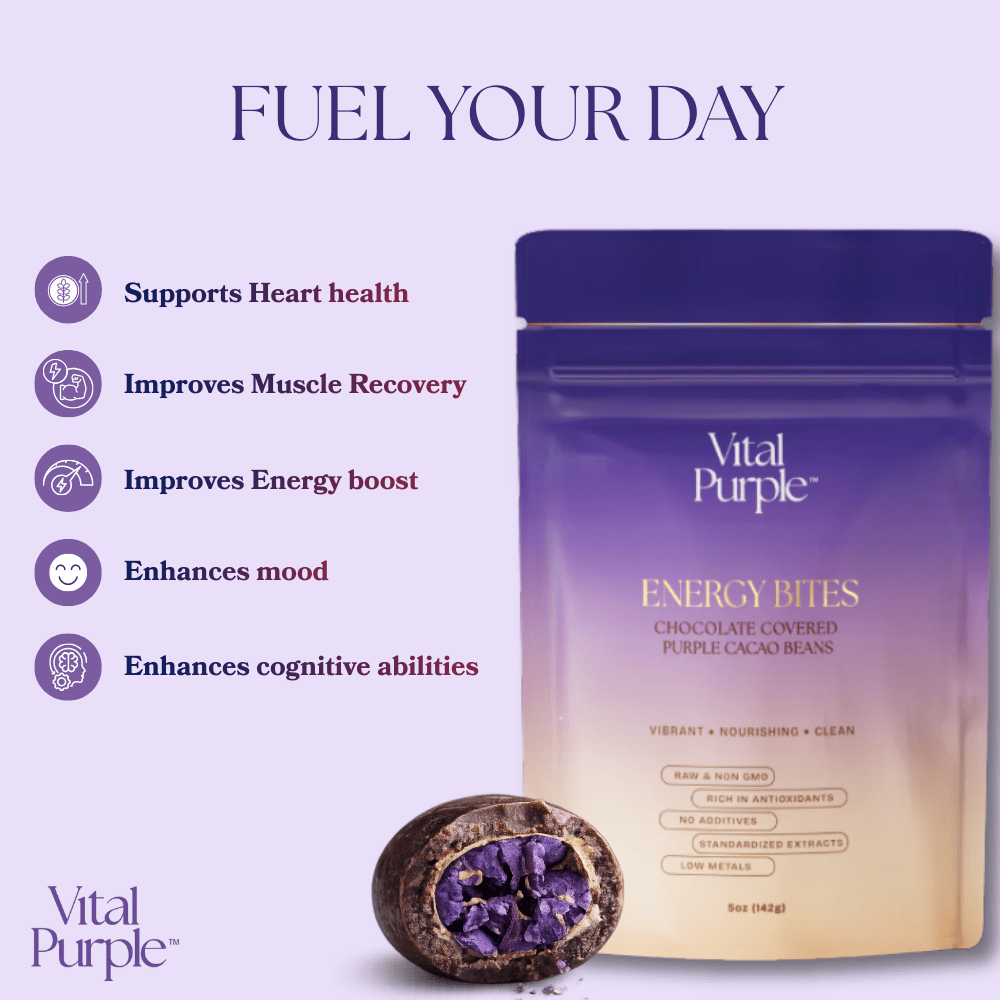 Energy Bites: Flavanol Rich Chocolate Covered Cocoa Seeds - Vital Purple