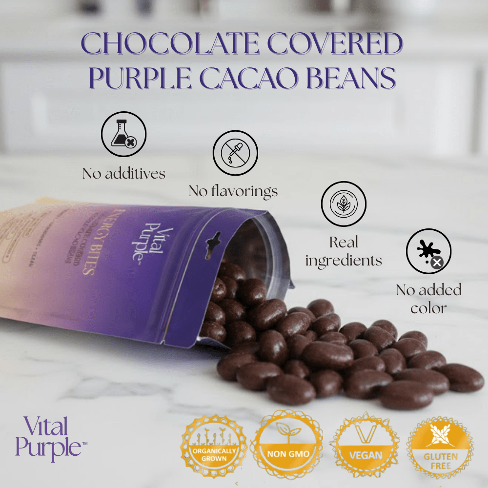 Energy Bites: Flavanol Rich Chocolate Covered Cocoa Seeds - Vital Purple