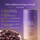 High Flavanol Cocoa Nibs 10 oz | High Antioxidant | Low Cadmium | Raw Cacao | Purple Cocoa - Vital Purple