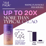 High Flavanol Cocoa Nibs 10 oz | High Antioxidant | Low Cadmium | Raw Cacao | Purple Cocoa - Vital Purple