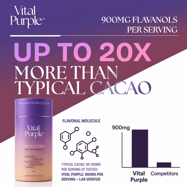 High Flavanol Cocoa Nibs 10 oz | High Antioxidant | Low Cadmium | Raw Cacao | Purple Cocoa - Vital Purple