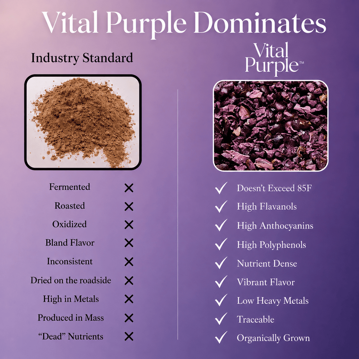 High Flavanol Cocoa Nibs 10 oz | High Antioxidant | Low Cadmium | Raw Cacao | Purple Cocoa - Vital Purple
