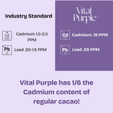 High Flavanol Cocoa Nibs 10 oz | High Antioxidant | Low Cadmium | Raw Cacao | Purple Cocoa - Vital Purple