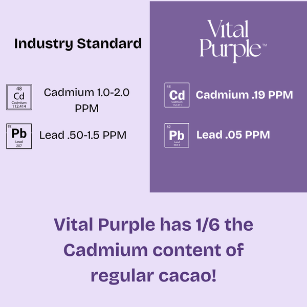 High Flavanol Cocoa Nibs 10 oz | High Antioxidant | Low Cadmium | Raw Cacao | Purple Cocoa - Vital Purple