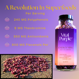 High Flavanol Cocoa Nibs 10 oz | High Antioxidant | Low Cadmium | Raw Cacao | Purple Cocoa - Vital Purple