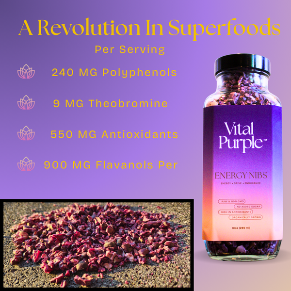 High Flavanol Cocoa Nibs 10 oz | High Antioxidant | Low Cadmium | Raw Cacao | Purple Cocoa - Vital Purple