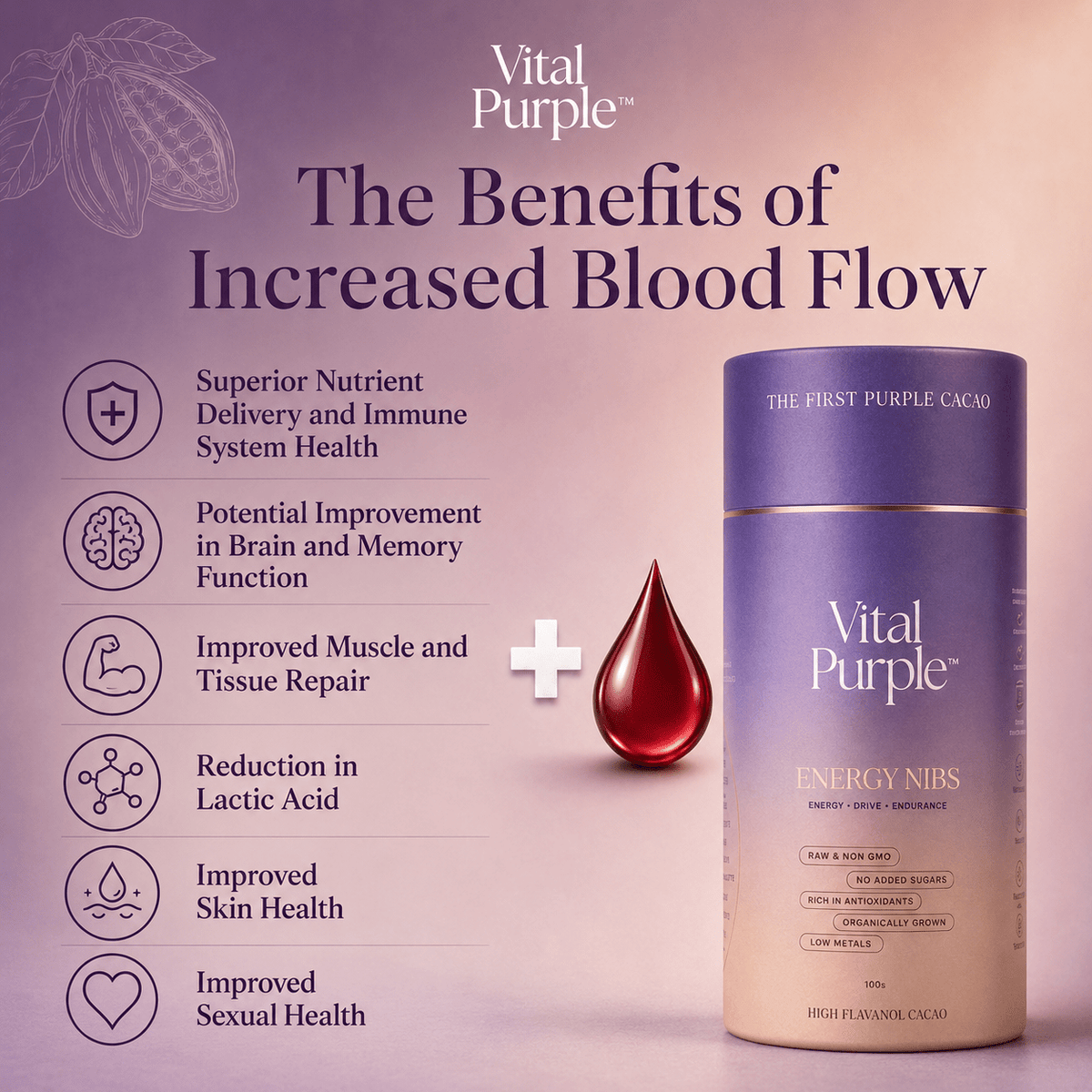 High Flavanol Cocoa Nibs 10 oz | High Antioxidant | Low Cadmium | Raw Cacao | Purple Cocoa - Vital Purple