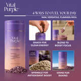 High Flavanol Cocoa Nibs 10 oz | High Antioxidant | Low Cadmium | Raw Cacao | Purple Cocoa - Vital Purple