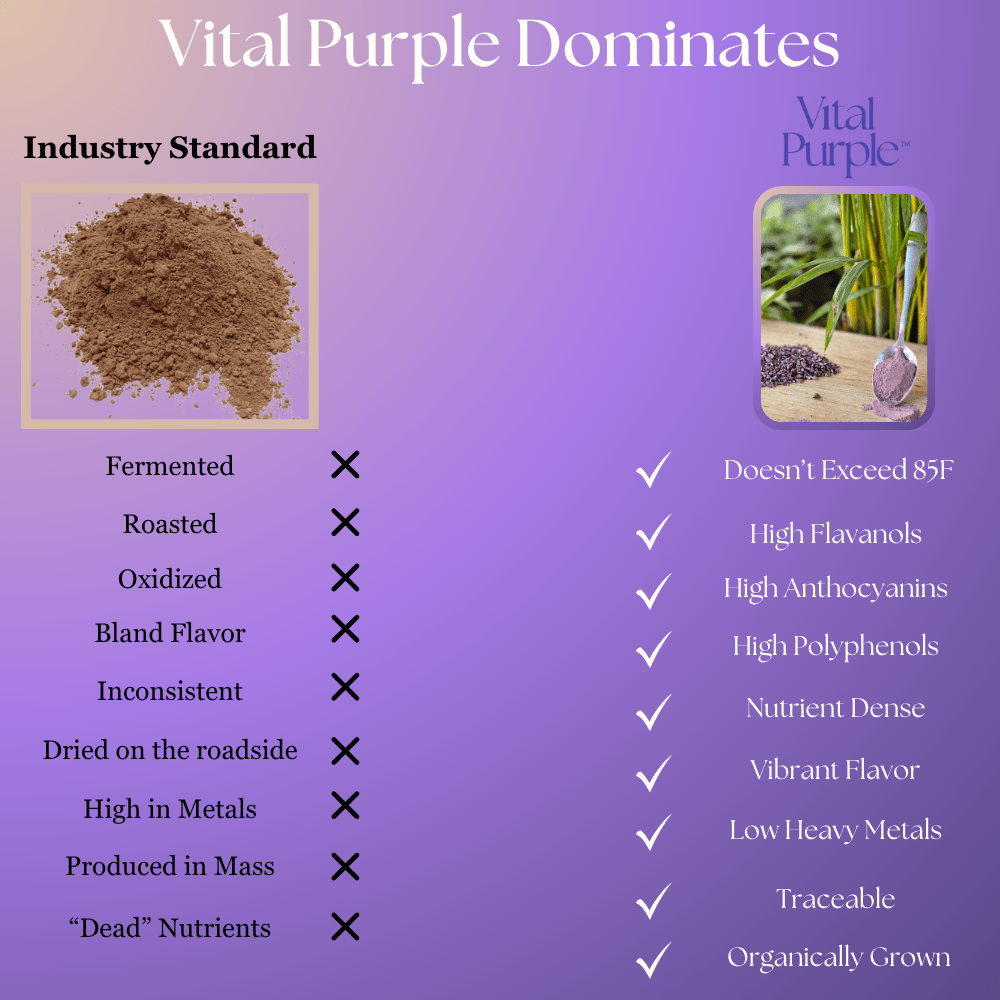 High Flavanol Cocoa Nibs 10 oz | High Antioxidant | Low Cadmium | Raw Cacao | Purple Cocoa - Vital Purple