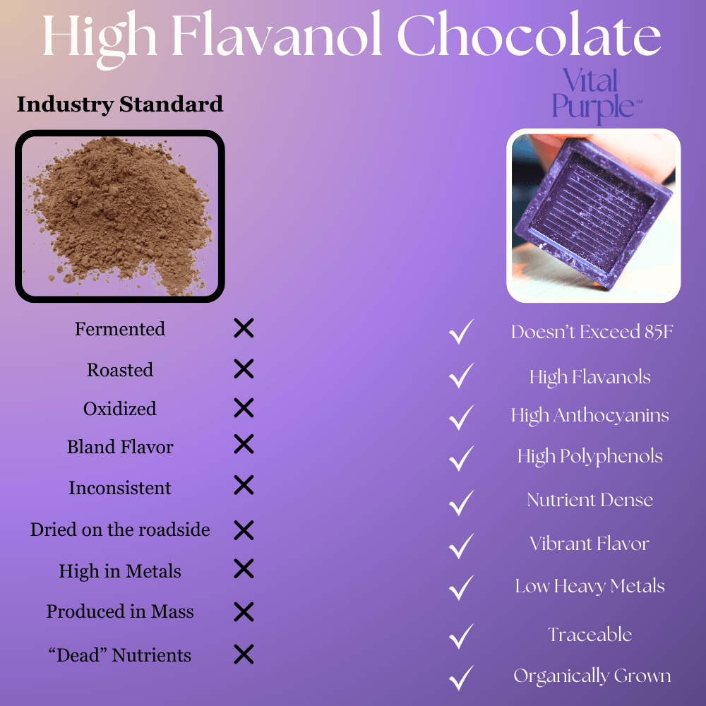 High Flavanol Dark Chocolate | 4 oz | 100% Dark Chocolate | Bitter | Intense - Vital Purple
