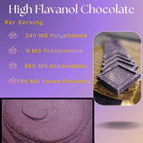 High Flavanol Dark Chocolate | 4 oz | 100% Dark Chocolate | Bitter | Intense - Vital Purple