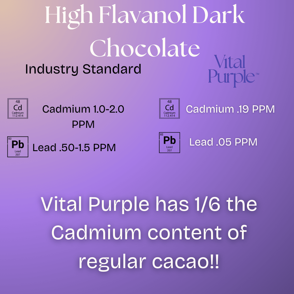 High Flavanol Dark Chocolate | 4 oz | 100% Dark Chocolate | Bitter | Intense - Vital Purple