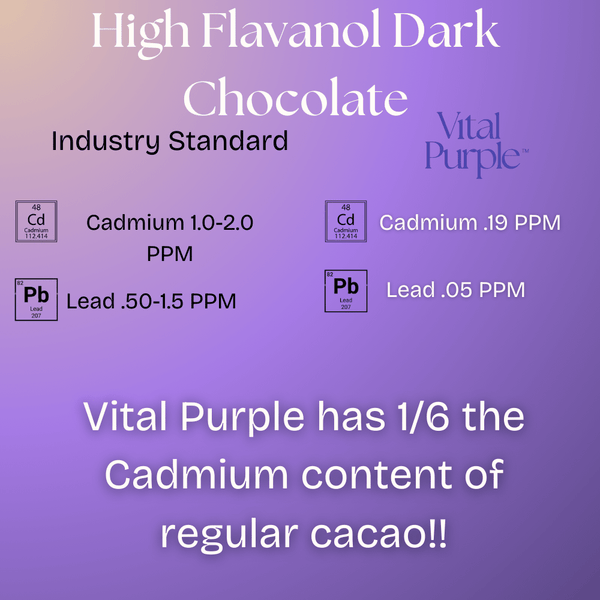High Flavanol Dark Chocolate | 4 oz | 100% Dark Chocolate | Bitter | Intense - Vital Purple