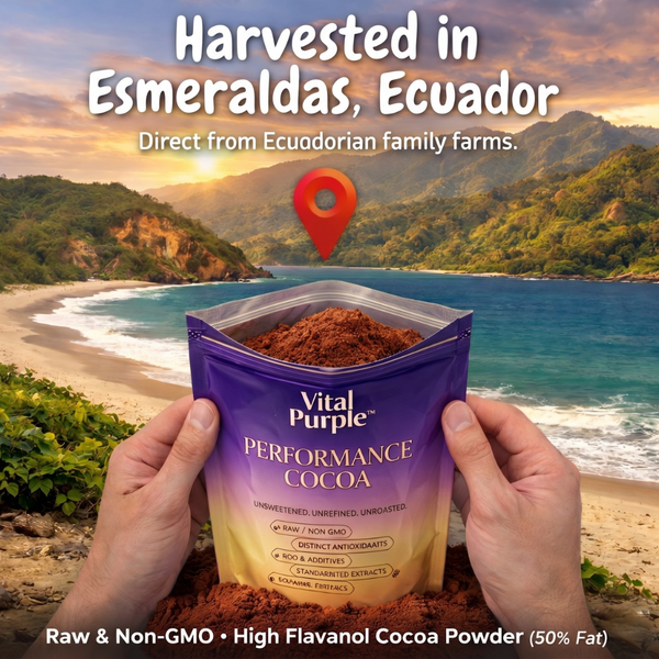 Mushroom Cocoa, Astaxanthin, Cocoa Flavanols, Magnesium Taurate - Vital Purple