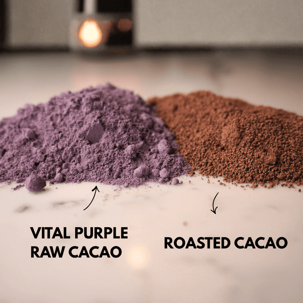 Organic High Flavanol Cocoa Powder | Purple Cacao Powder | 25% Fat - Vital Purple
