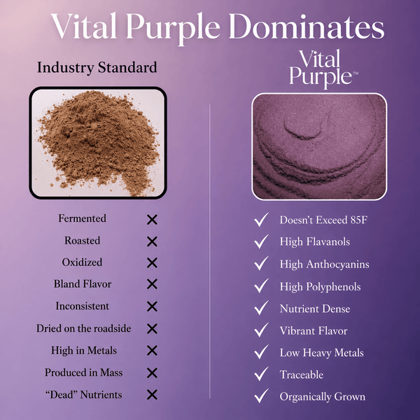 Organic High Flavanol Cocoa Powder | Purple Cacao Powder | 25% Fat - Vital Purple