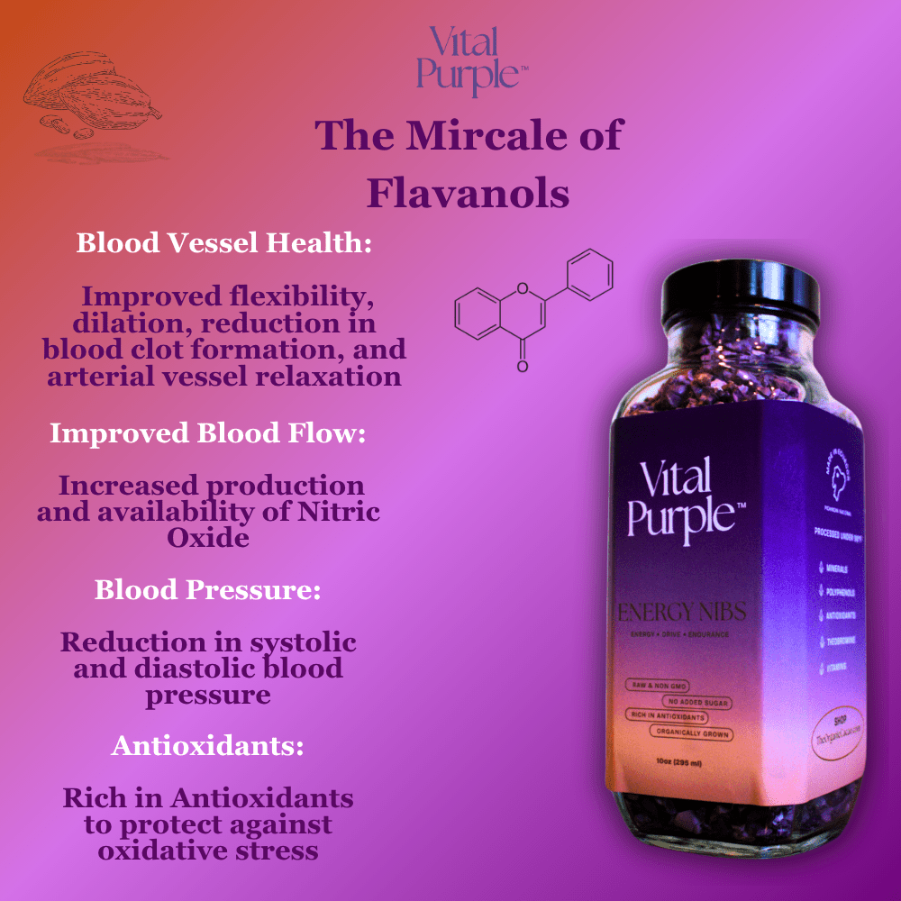 Organic High Flavanol Cocoa Powder | Purple Cacao Powder | 25% Fat - Vital Purple