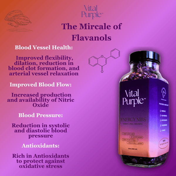 Organic High Flavanol Cocoa Powder | Purple Cacao Powder | 25% Fat - Vital Purple