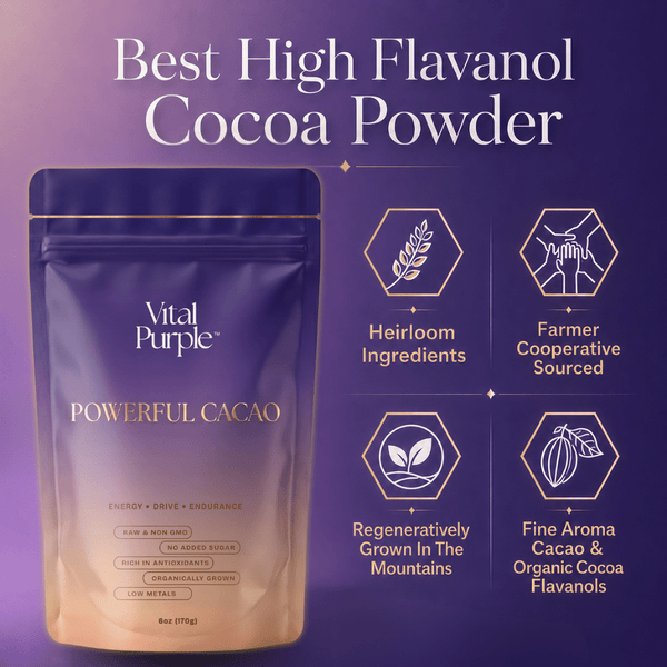 Organic High Flavanol Cocoa Powder | Purple Cacao Powder | 25% Fat - Vital Purple