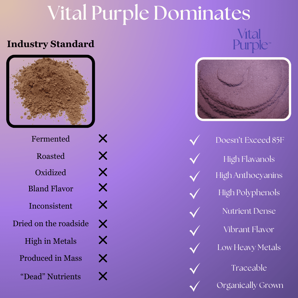 Organic High Flavanol Cocoa Powder | Purple Cacao Powder | 25% Fat - Vital Purple