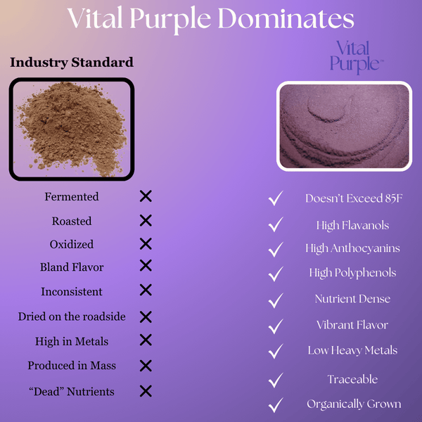Organic High Flavanol Cocoa Powder | Purple Cacao Powder | 25% Fat - Vital Purple