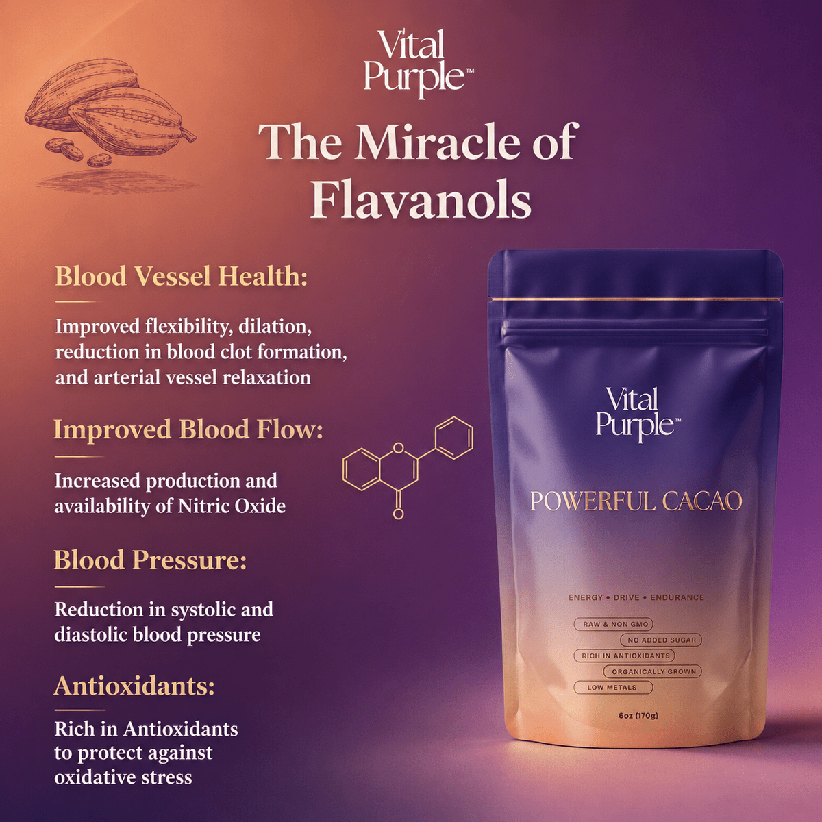 Organic High Flavanol Cocoa Powder | Purple Cacao Powder | 25% Fat - Vital Purple