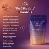 Organic High Flavanol Cocoa Powder | Purple Cacao Powder | 25% Fat - Vital Purple